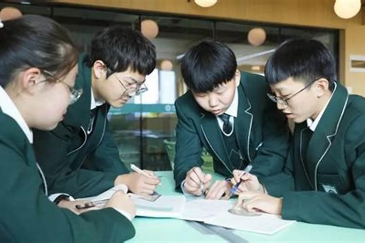 青岛旅游学校：关注分数带志愿填报，别错过普职融通和综合高中