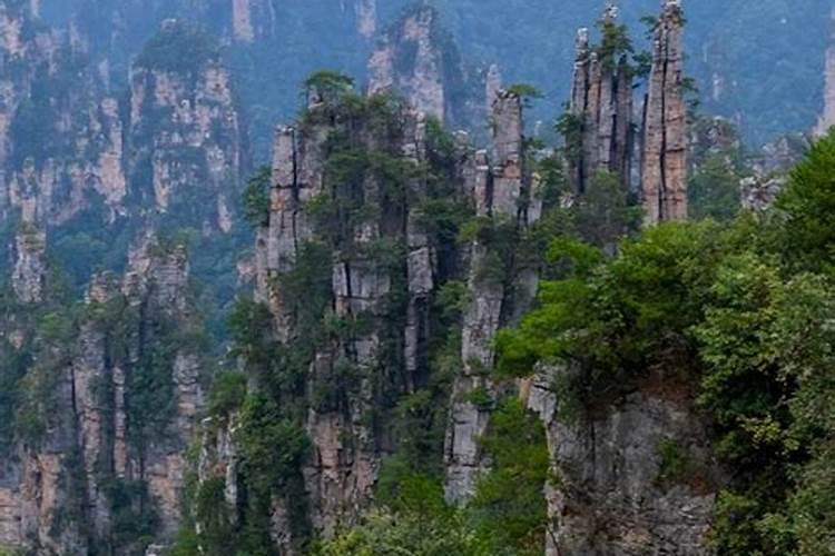 张家界5天4晚旅游多少钱，跟团张家界5日游价格多少？