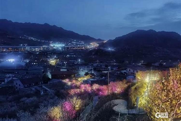 阳春三月，来青岛这里赴一场“风花雪月”之旅