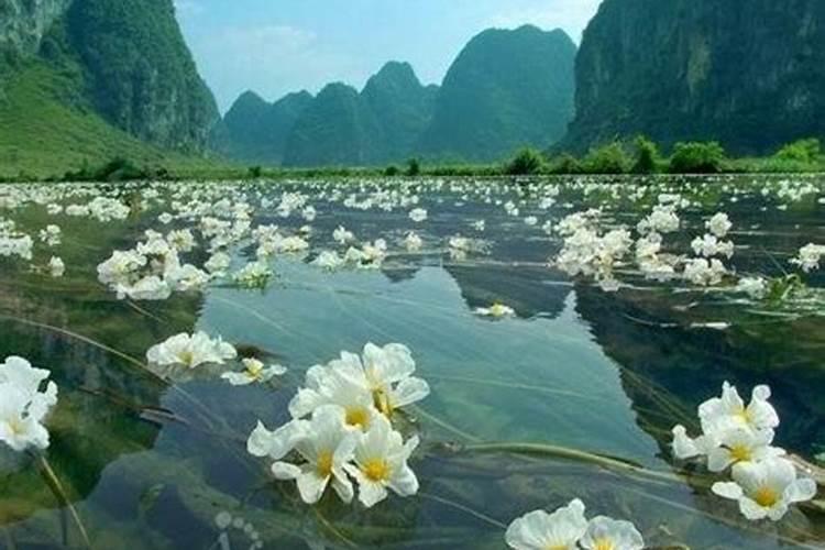 桂林周边游：百寿镇