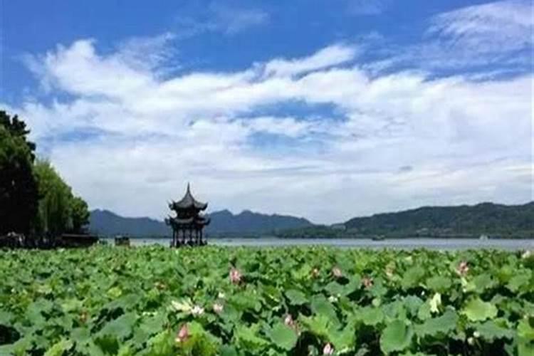 去上海杭州五日游一个人多少钱，上海杭州去5天自由行费用？