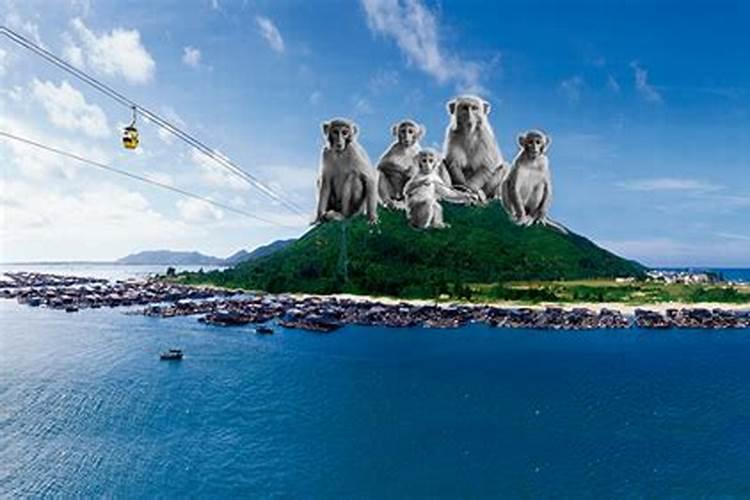 老周聊见闻：海南的南湾猴岛打卡旅行攻略