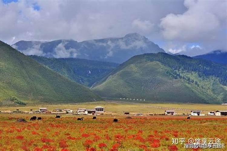 几月份去云南香格里拉旅游比较好，怎么去比较方便？