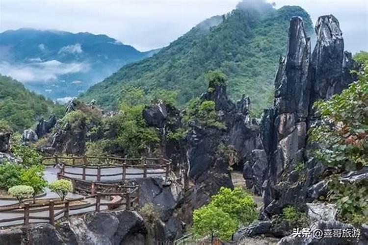 桂林平乐｜源头镇：义洞水库滩涂现花海，成游客打卡胜地