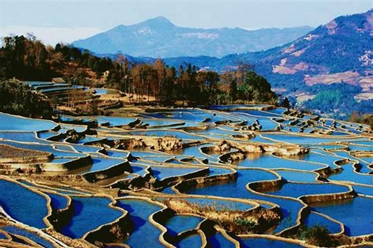 云南省16家著名景点，仅仅只有5家景区免费，看看你都打卡过几个？