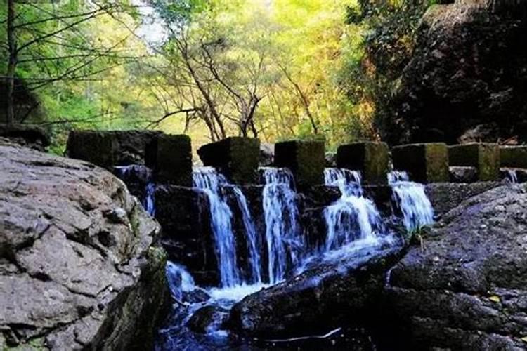 秋季周边游：杭州菩提谷，金华磐安，太仓玫瑰庄园，岑卜村