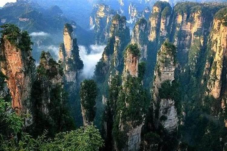 湖南张家界：为防止疫情蔓延，暂不要来张家界市旅游