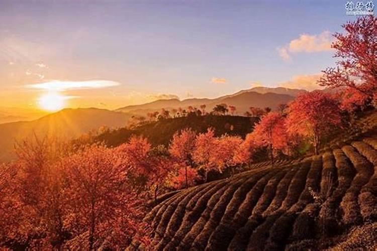 一月份最适合去旅行的五个地方，寻找冬季里的美丽，都不容错过