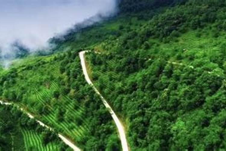 春节反向旅行！“过年旅居”三亚不再是首选，这座城更被人追捧