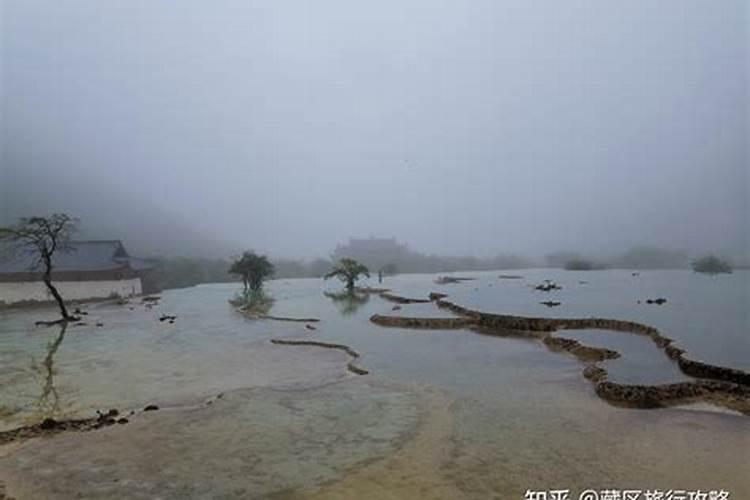 如果你也担心高反，那么可以选择林芝，作为西藏旅行的一站？