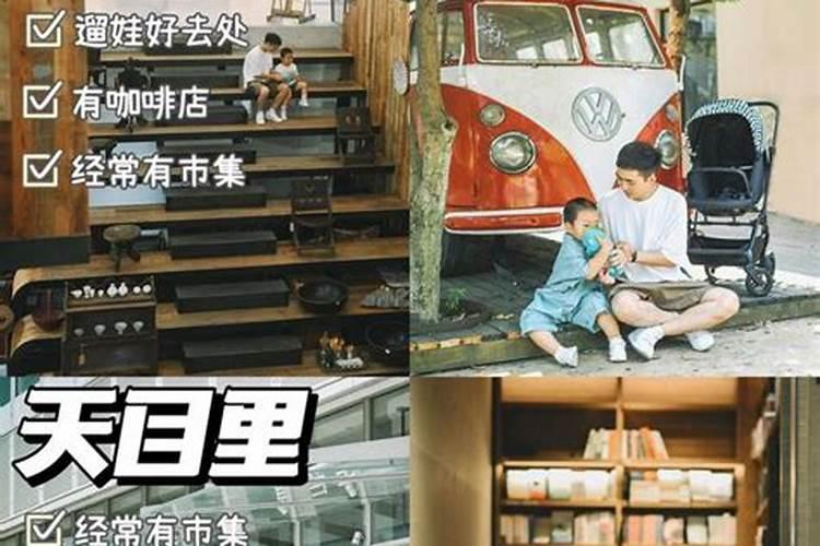 杭州市内自驾一小时之内，免费遛娃遛狗好去处