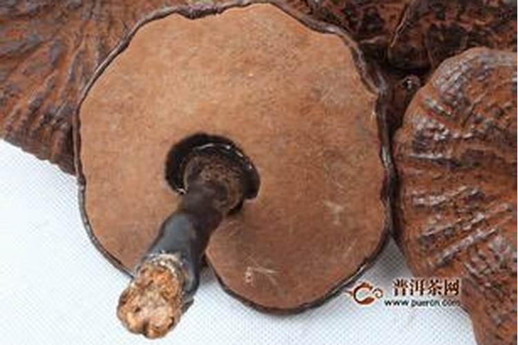 太岁的使用方法及功效