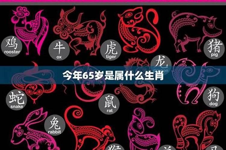 怎么预测生肖运势？