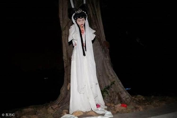梦见白衣女鬼飘在屋里