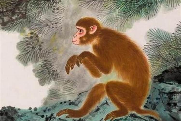 属猴的人哪年犯太岁 这三年要注意？