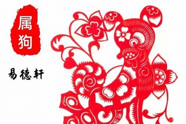 生肖狗2024冲太岁需要注意什么呢