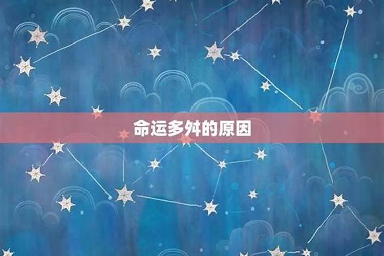 87年8月17出生的兔子运势