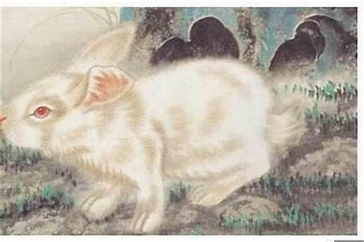 属相兔子87年,农历8月17的,2015年运程