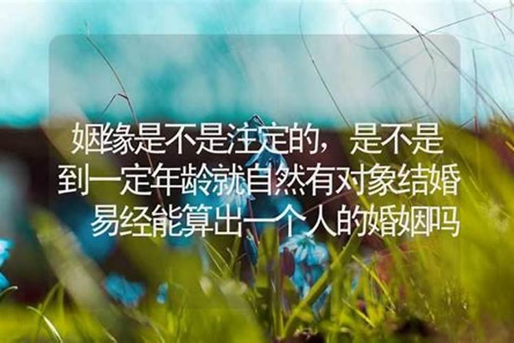 有对象能算姻缘吗？