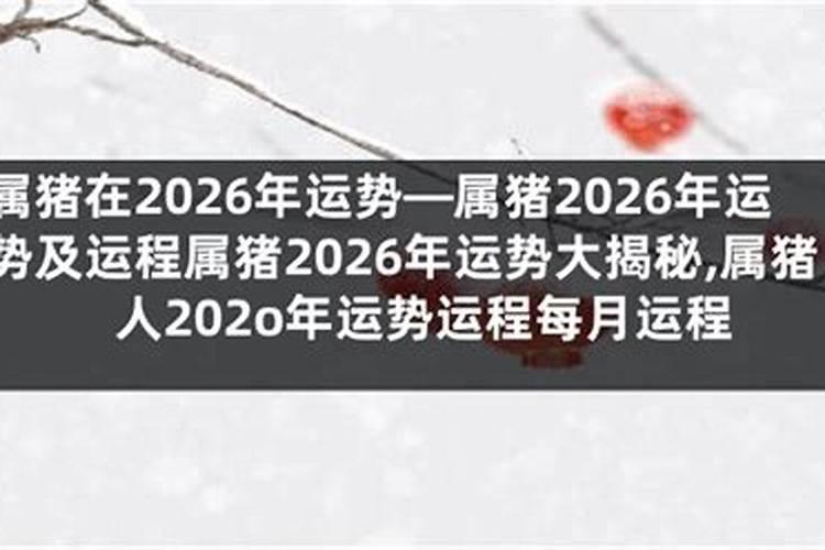 属猪人2026年全年运势运程