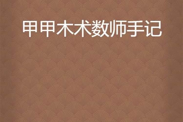术数师是什么职业