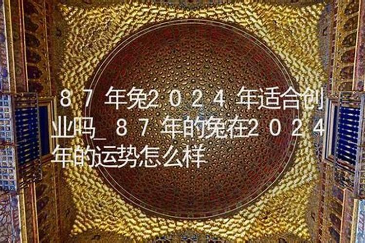 87年的兔2024年的运势怎么样