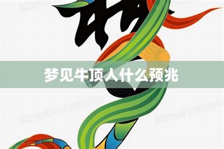 梦见牛顶人的预兆